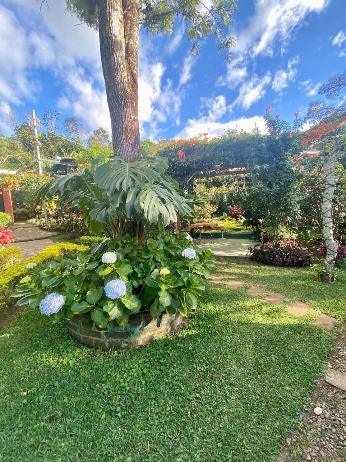 Villa Castillo De Ensueno Concepcion de Ataco Bagian luar foto